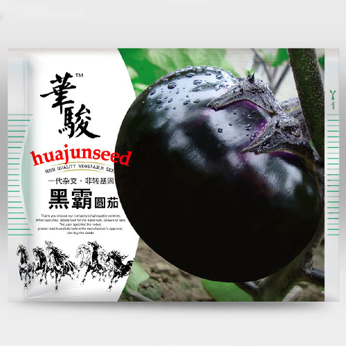 Garden Noir: Explore the World of Black Round Eggplant Seeds