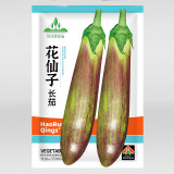 Bamboo Silk Marvel: Flowering Eggplant Seeds from Sichuan