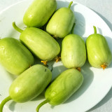 Tiny Elegance Fruits: Miniature Butter Thumb Cucumber Seeds, Sweet and Crisp