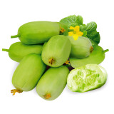Tiny Elegance Fruits: Miniature Butter Thumb Cucumber Seeds, Sweet and Crisp