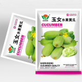 Tiny Elegance Fruits: Miniature Butter Thumb Cucumber Seeds, Sweet and Crisp