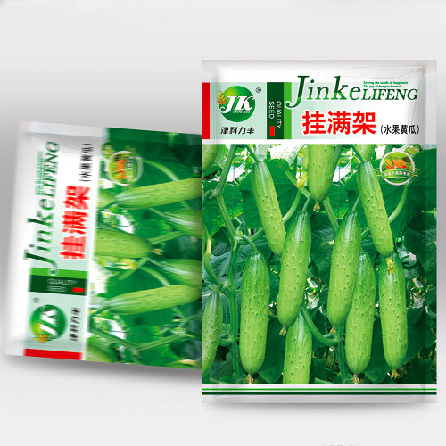Hanging Beauty: Tangshan's Autumn Cucumber Seeds