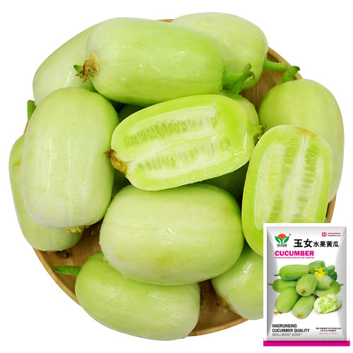 Tiny Elegance Fruits: Miniature Butter Thumb Cucumber Seeds, Sweet and Crisp