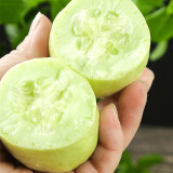 Tiny Elegance Fruits: Miniature Butter Thumb Cucumber Seeds, Sweet and Crisp