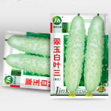 Crisp White Cucumber with Spiky Vines