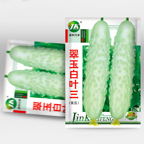 Crisp White Cucumber with Spiky Vines