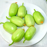 Tiny Elegance Fruits: Miniature Butter Thumb Cucumber Seeds, Sweet and Crisp
