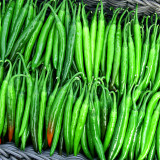 Flame-kissed Delight: Exquisite Red Cayenne Seeds