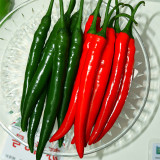 Flame-kissed Delight: Exquisite Red Cayenne Seeds