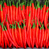 Flame-kissed Delight: Exquisite Red Cayenne Seeds