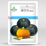 'Green Baby' Small Pumpkin Seeds