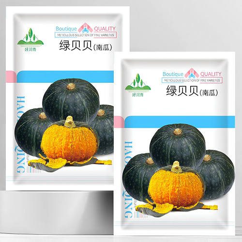 'Green Baby' Small Pumpkin Seeds