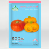 Scarlet Gem Chestnut Squash Seeds