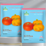 Scarlet Gem Chestnut Squash Seeds