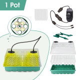 Warm Light Brilliance: 48-Cell Seed Starter Propagation Tray with 4 Beads LED