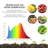 Enhanced Seed Starting: 48-Cell Tray with Red-Warm-Blue LED Lights
