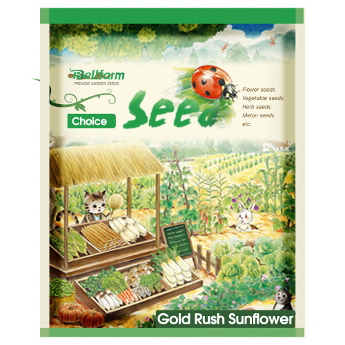 Gold Rush Sunflower Seeds (120cm Tall)
