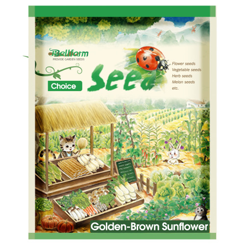 Golden-Brown Sunflower Seeds (60cm Tall)