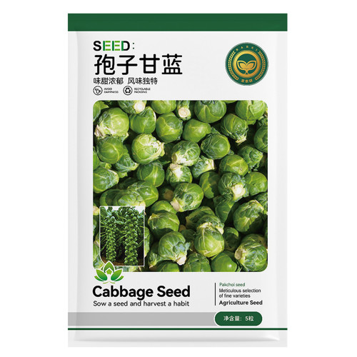 Jingyan® Brussels Sprout Seeds
