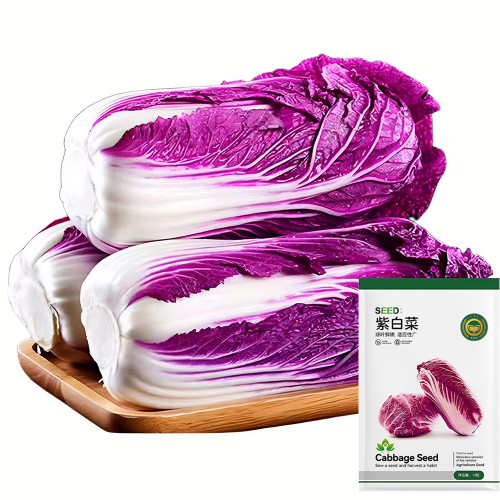 Jingyan® Red Napa Cabbage Seeds