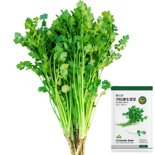 Jingyan® Fast-growing Coriander Seeds