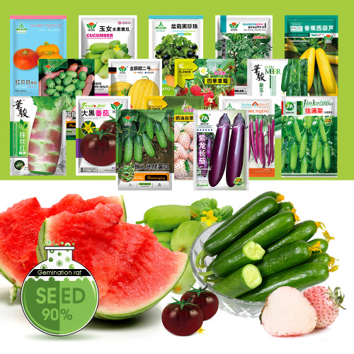 Fresh Harvest Seeds Bundle: Vegetable, Fruit, Melon, and Tomato Combo #001