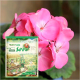 Heirloom Seeds of 20 Flowers Assortment in Distinctive Packaging Combo #002