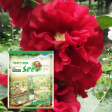 Heirloom Seeds of 20 Flowers Assortment in Distinctive Packaging Combo #002