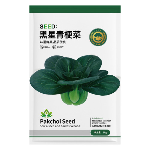 Jingyan® Black Star Pak Choi Seeds