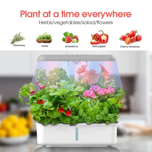 Muciakie® N169 Smart Hydroponics Grow System