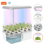 Muciakie® N169 Smart Hydroponics Grow System