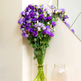 Lisianthus Seeds