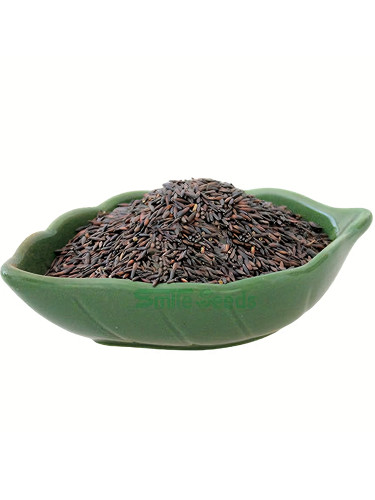 Bellfarm® Yellow Sea Lavender Seeds