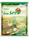 Bellfarm® Red Lar Daisy Seeds