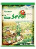 Bellfarm® Pink Mid Daisy Seeds