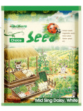Bellfarm® White Mid Sing Daisy Seeds
