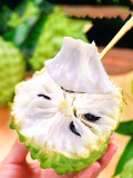 Bellfarm® Soursop