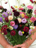 Bellfarm® Pincushion Formula Mix
