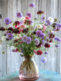 Bellfarm® Pincushion Formula Mix