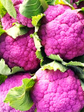 Bellfarm® Broccoli, Mixed Purple/Romanesco/Yellow