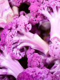 Bellfarm® Broccoli, Mixed Purple/Romanesco/Yellow