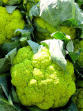 Bellfarm® Broccoli, Mixed Purple/Romanesco/Yellow