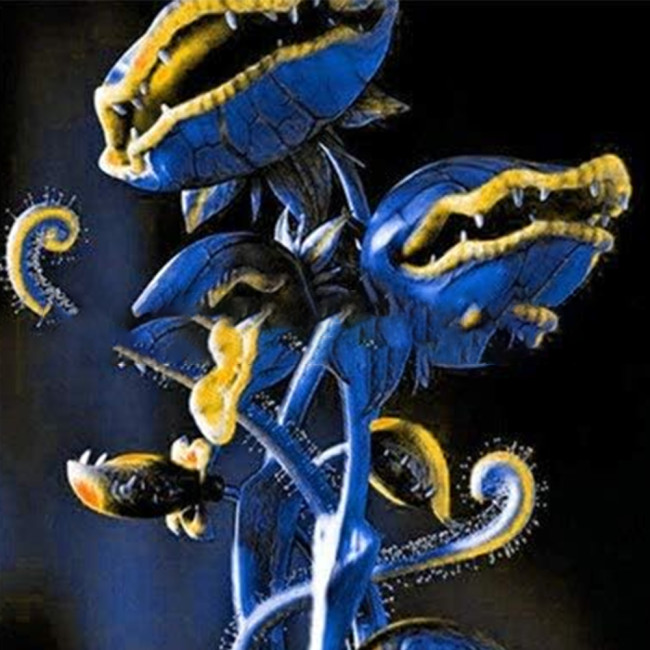 Dionaea Muscipula