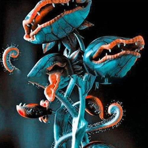 Dionaea Muscipula