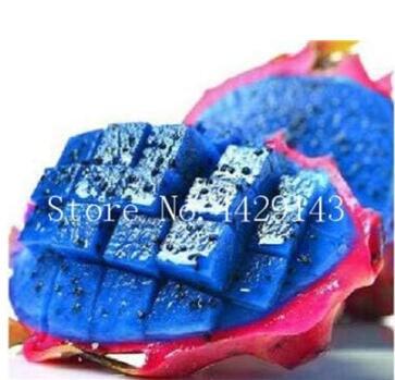 Dragon Fruit Rare, Blue