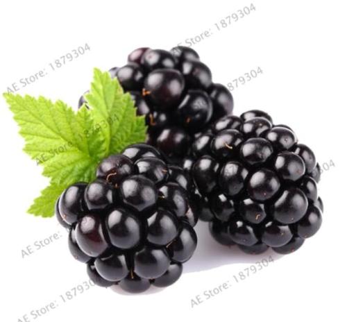 Heirloom Blackberry Seeds Sweet Black Berry Giant Blackberries