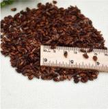 Rare Black Grape Seed Dwarf Seed Fruit Heirloom Organic Fruit