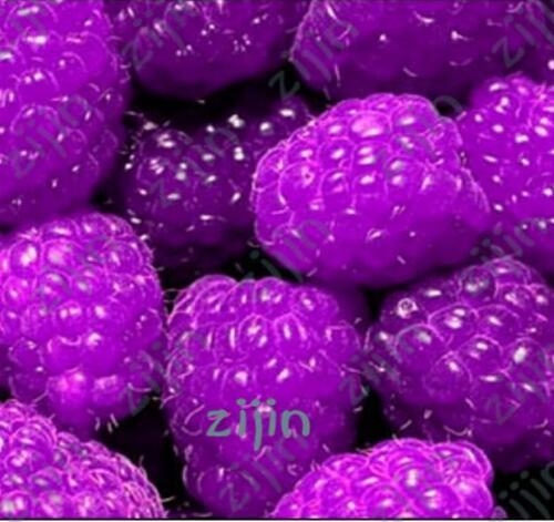 Raspberry Seeds, Purple