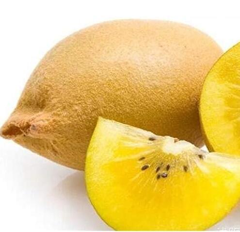 The King of Fruits Kiwi Yellow Flesh Kiwi Seeds