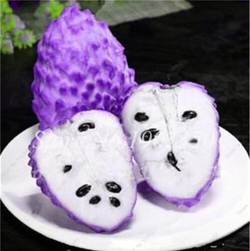 Graviola Annona Muricata Exotic Seeds, Color-10